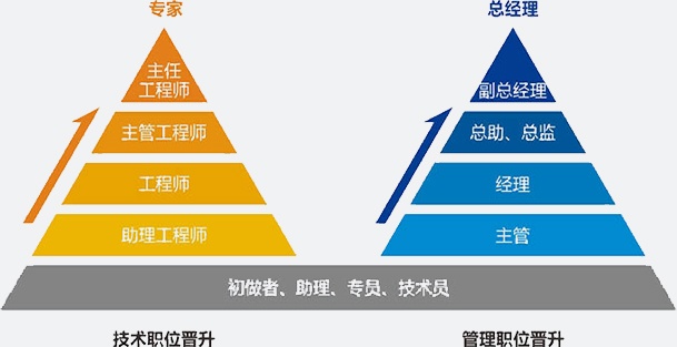 职业生长_环球国际